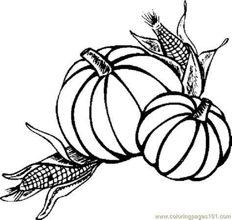 pumpkins corn coloring page  thanksgiving day coloring pages