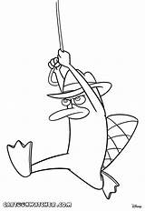 Ferb Phineas Platypus Drawing Colouring Doofenshmirtz Getdrawings Printablecolouringpages sketch template