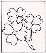 Dogwood Svg Flowers Etsy Coloring Pages Flower Carving Cricut  sketch template