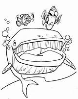 Nemo Whale Marlin Dory Sheets sketch template
