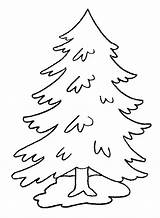 Pine Coloring Tree Pages Trees Evergreen Printable Drawing Kids Print Leaves Pencil Color Coniferous Life Getcolorings Christmas Drawings Getdrawings Forest sketch template