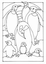 Coloring Penguin Pages Sheets Kids Winter Edupics sketch template
