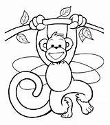 Para Coloring Pages Macaco Colorear Dibujos Macaque sketch template