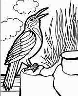 Birdhouse Pagess Getdrawings sketch template