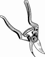 Clipart Shears Pruning Cliparts Shear Library sketch template