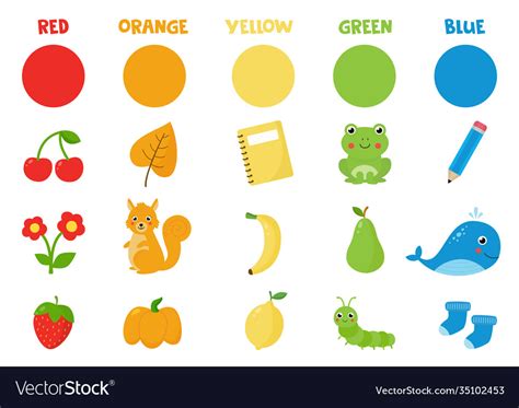 collection primary colors learning royalty  vector image