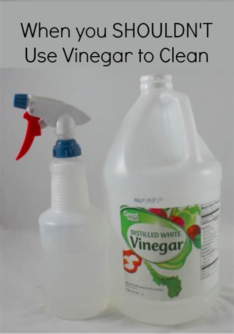 shouldnt  vinegar  clean debt  spending