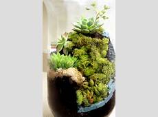 Another World Succulent Waterfall Terrarium on Etsy