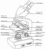 Microscope Labeled Labeling Getdrawings Unlabeled sketch template