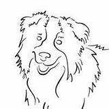 Collie Border Coloring Pages Surfnetkids Collies Dog Colors Color Printable Australian Shepherd Drawing Drawings Simple Sheep Cute Divyajanani sketch template