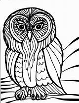 Coloring Pages Bird Owl Printable Birds Kids Owls Print Book Sheets Barn Printables Hard Colouring House Peacock School Simple Clipartbest sketch template