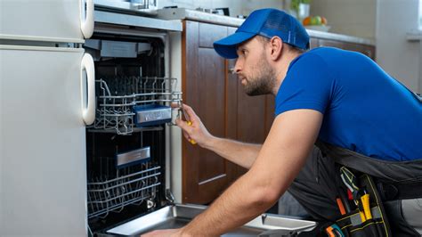 reason  dishwasher   making  noise    fix