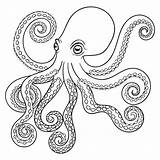 Octopus Tribal Polipo Poulpe Totem Zentangle Ausmalbild Riesenkalmar Coloritura Kleurende Dierlijke Getrokken Volwassen Adulte Animale Adulta Disegnato Tribale Coloration Malvorlage sketch template