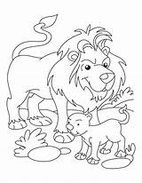 Lion Cub Coloring Pages Lamb Drawing Lions Clipart Outline Detroit Kids Color Printable Getdrawings Getcolorings March Cross Clip Paintingvalley Library sketch template