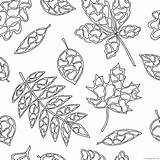 Autumn Coloring4free sketch template