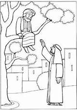 Zacchaeus Zaccheus Zaqueo Ausmalbilder Bibel Biblische Malvorlagen Zaccheaus Visitar Bibelgeschichten Geschichten Vbs Biblia Precioso sketch template