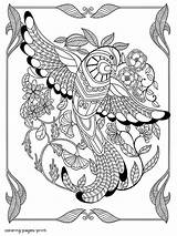 Coloring Pages Bird Adults Printable Many Birds Details Print Adult Look Other sketch template