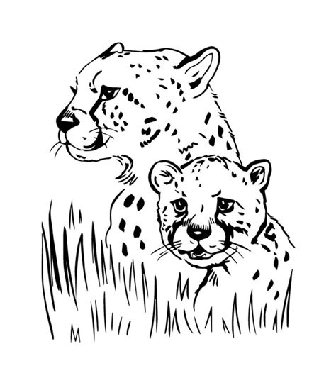 printable jaguar coloring pages