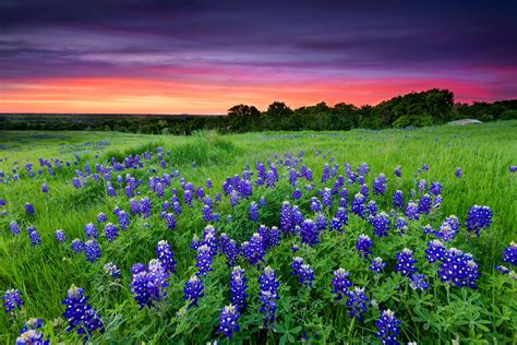 top       texas hill country