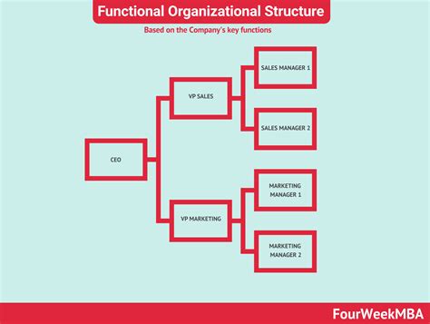 organizational structure types