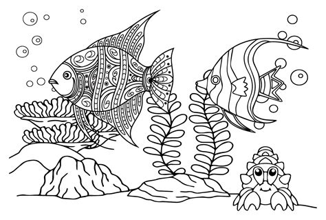 coral beauty angelfish coloring page  printable coloring pages