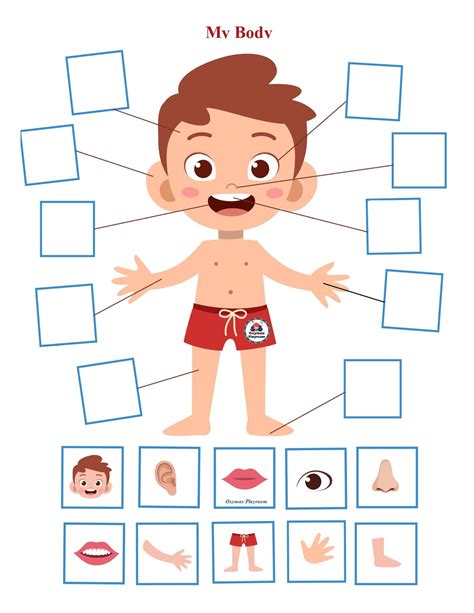 preschool body theme body parts preschool activities senses