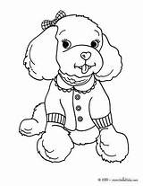 Coloring Pages Poodle Dog Printable Coloriage Animal Puppy Pink Colouring Chien Color Imprimer Cute Chat Sheets Baby Template Books Hellokids sketch template