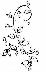 Vine Vines Rose Drawing Drawings Ivy Flower Easy Flowers Draw Getdrawings Paintingvalley sketch template