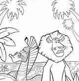 Madagascar Marty Coloring Pages sketch template