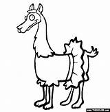 Coloring Pages Llamas Lama Drawing Llama Jayhawk Tutu Comments Bully Goat sketch template