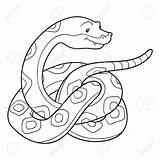 Snake Serpente Escamas Vipera Viper Vettoriali Coiled Children sketch template
