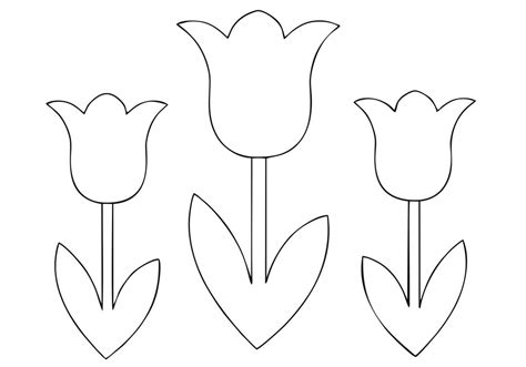 tulip template  printable printable templates