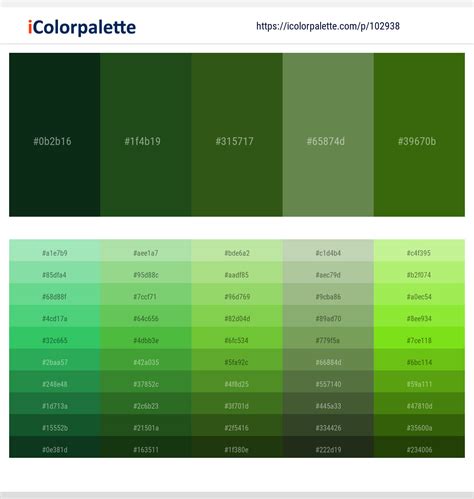 shades xkcd color seaweed green adb hex colors palette colorswall