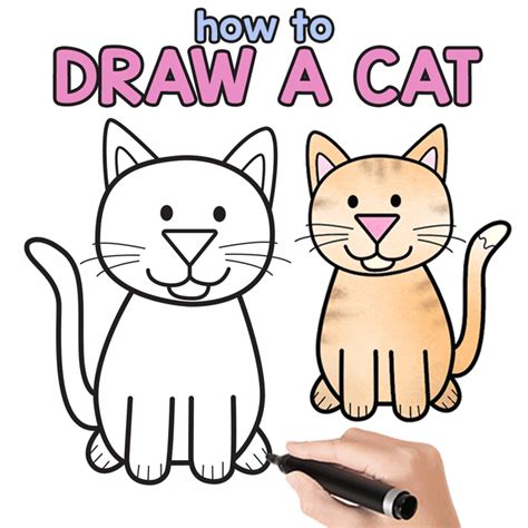 draw  cat step  step cat drawing instructions cute cartoon