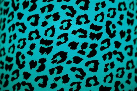 feed pictures animal print background