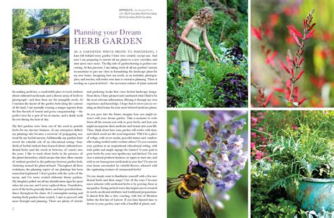 Cultivating Medicinal Herbs Book | Chestnut School of