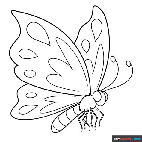 printable insect coloring pages  kids