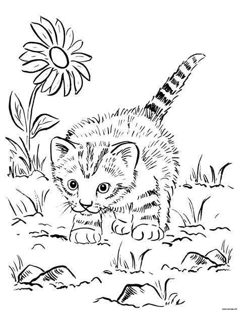 coloriage chaton super mignon jouant au jardin jecoloriecom