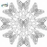 Mandala Coloring Butterfly Pages Printable Butterflies Animal Template Print Book Color Library Clipart Getdrawings Getcolorings Popular Neo sketch template