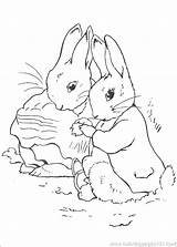 Peter Rabbit Coloring Pages Printable Kids Pintar Colorir Color Coloringpages101 Book Fun Online Getdrawings Desenho Desenhos Beatrix Potter Info Colouring sketch template