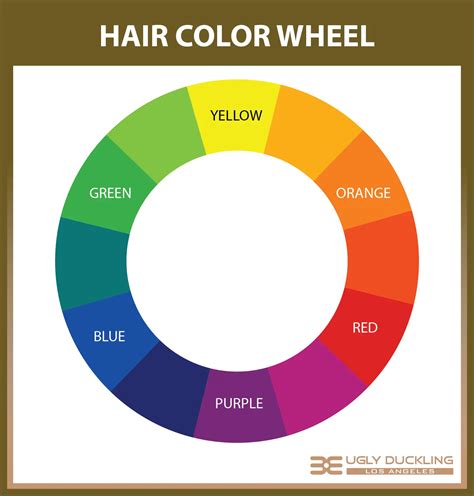 hair color wheel explained  secrets  color neutralization tone correction ugly