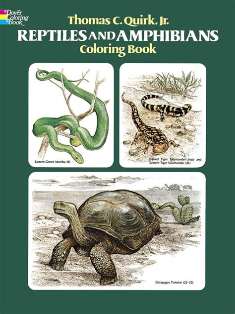 amphibian books books  amphibians frogs salamanders caecilians