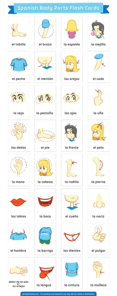 spanish printable flashcards