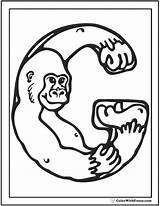 Gorilla Coloring Pages Printable Gorillas sketch template