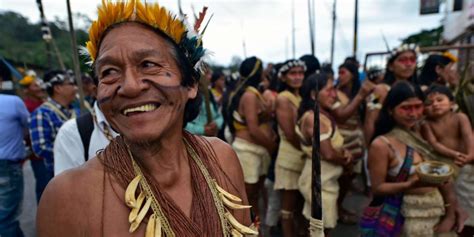 Amazon Tribe Saves Millions Of Acres Of Rainforest After