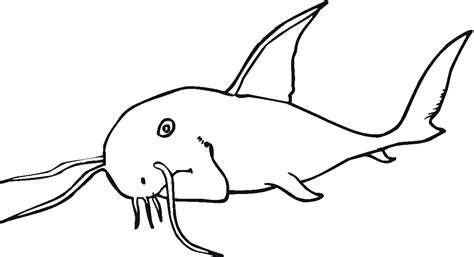catfish coloring page coloring home