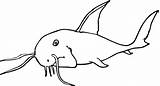 Coloring Catfish Para Popular Library Clipart Coloringhome sketch template