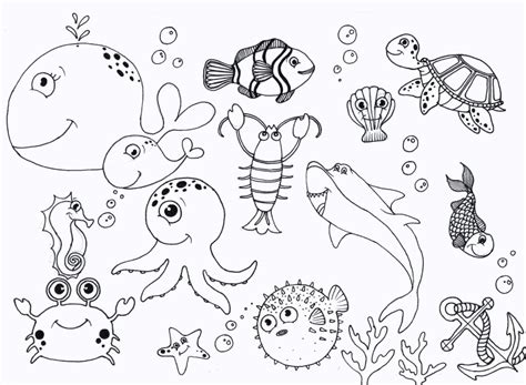 ocean coloring pages  preschoolers dc