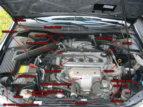 beginners guide  body parts   hood   car issuu