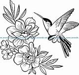 Engraving Hummingbirds Cdr Hummingbird Ameede sketch template